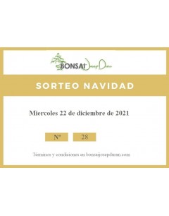 Nº 28